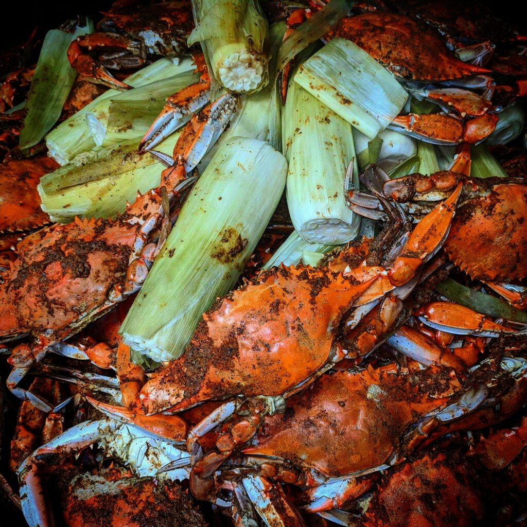 steamed crabs and steamed corn