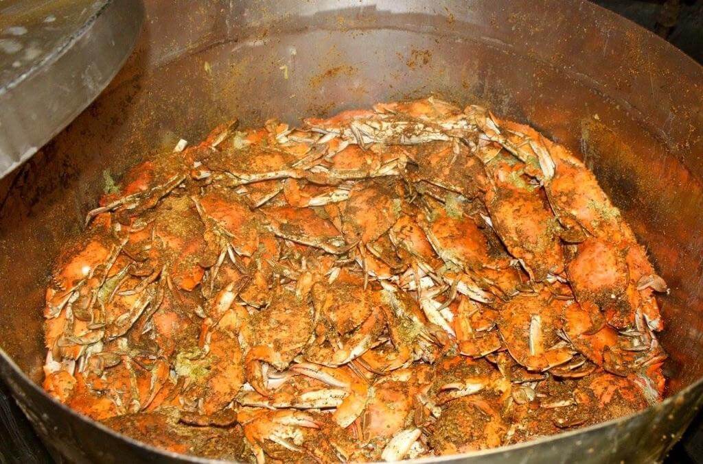 Steamed Maryland Crabs