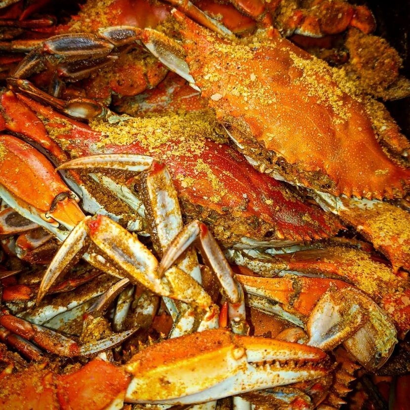 Steamed Maryland Crabs