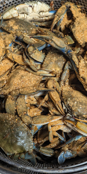 best baltimore crabs