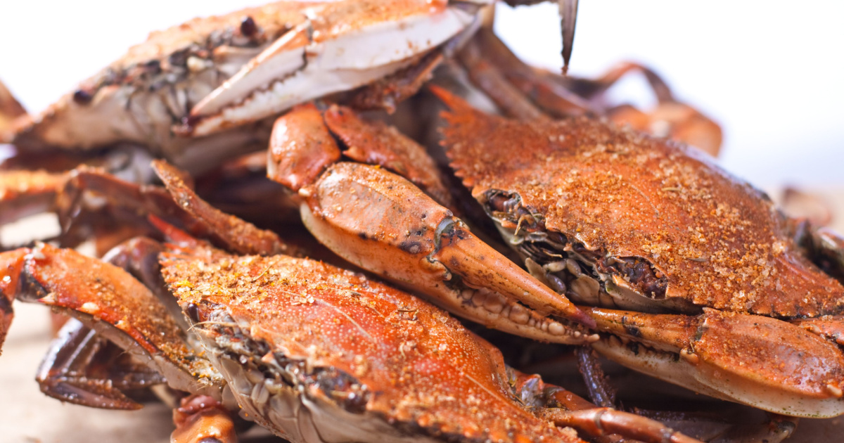 Discover The Best Baltimore Crabs - Nicks Crabs